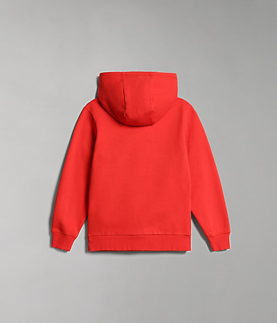 Beri hoodie sweatshirt (4-16 JAAR)-